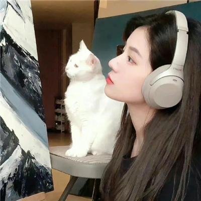 蔷薇处处开