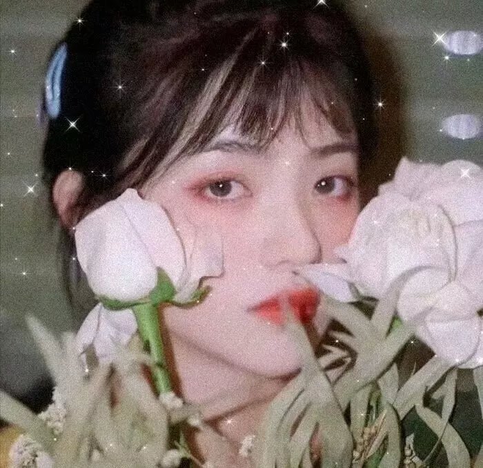 暗芝居第三季